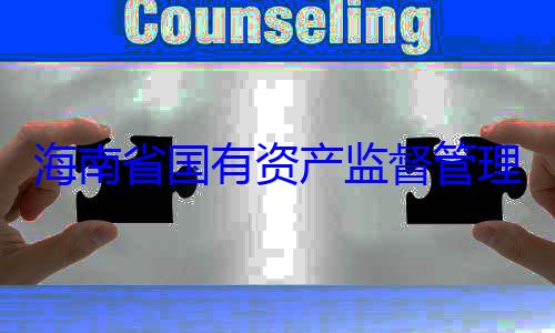 资产监督管海南省国有有福接受审委副书记王查调查理委员会党